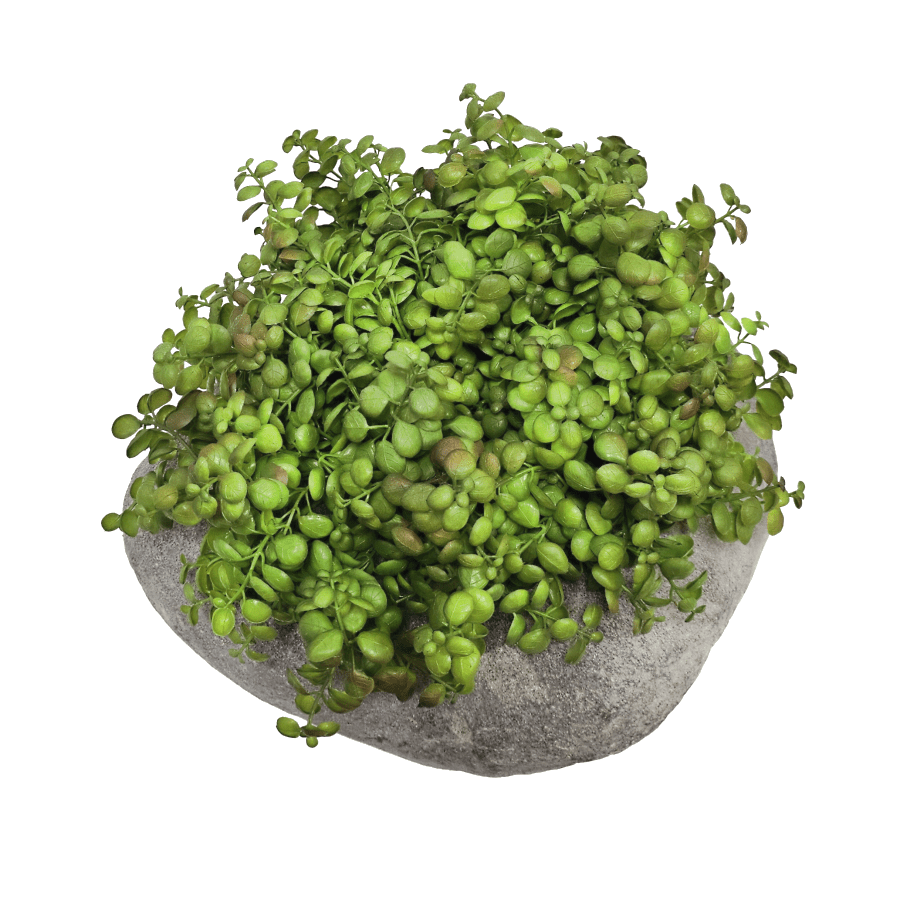 Jade Bush in Natural Stone 13"H - LDF Silk