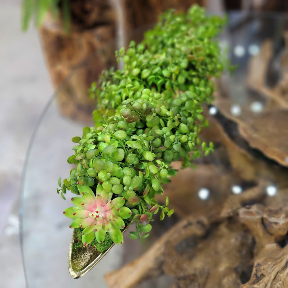 Jade Plants with Succulents in Oval Boat 6.5"H - LDF Silk