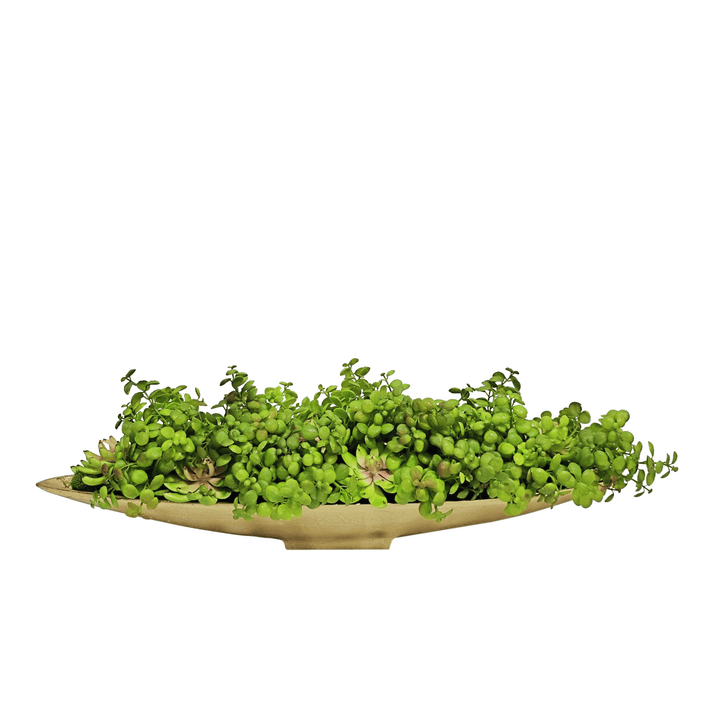 Jade Plants with Succulents in Oval Boat 6.5"H - LDF Silk