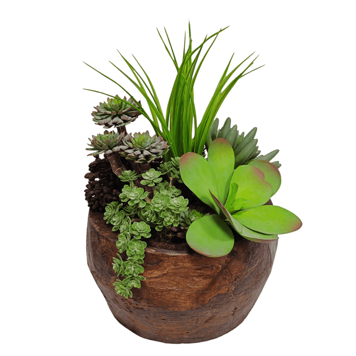 Kalanchoe and Succulents with Grass and Berry Cluster in Bowl FH: 14" - LDF Silk