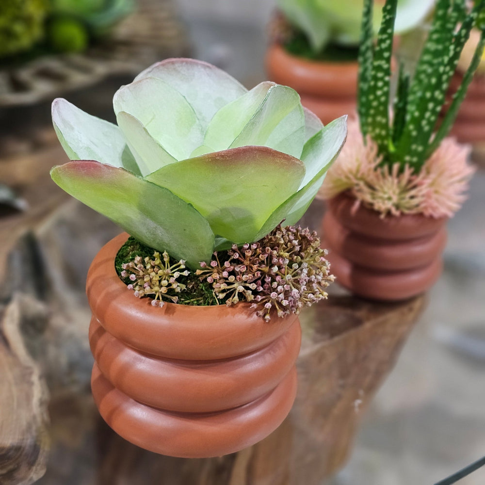 Kalanchoe with Sedum in Terra Cotta Ceramic 10"H - LDF Silk