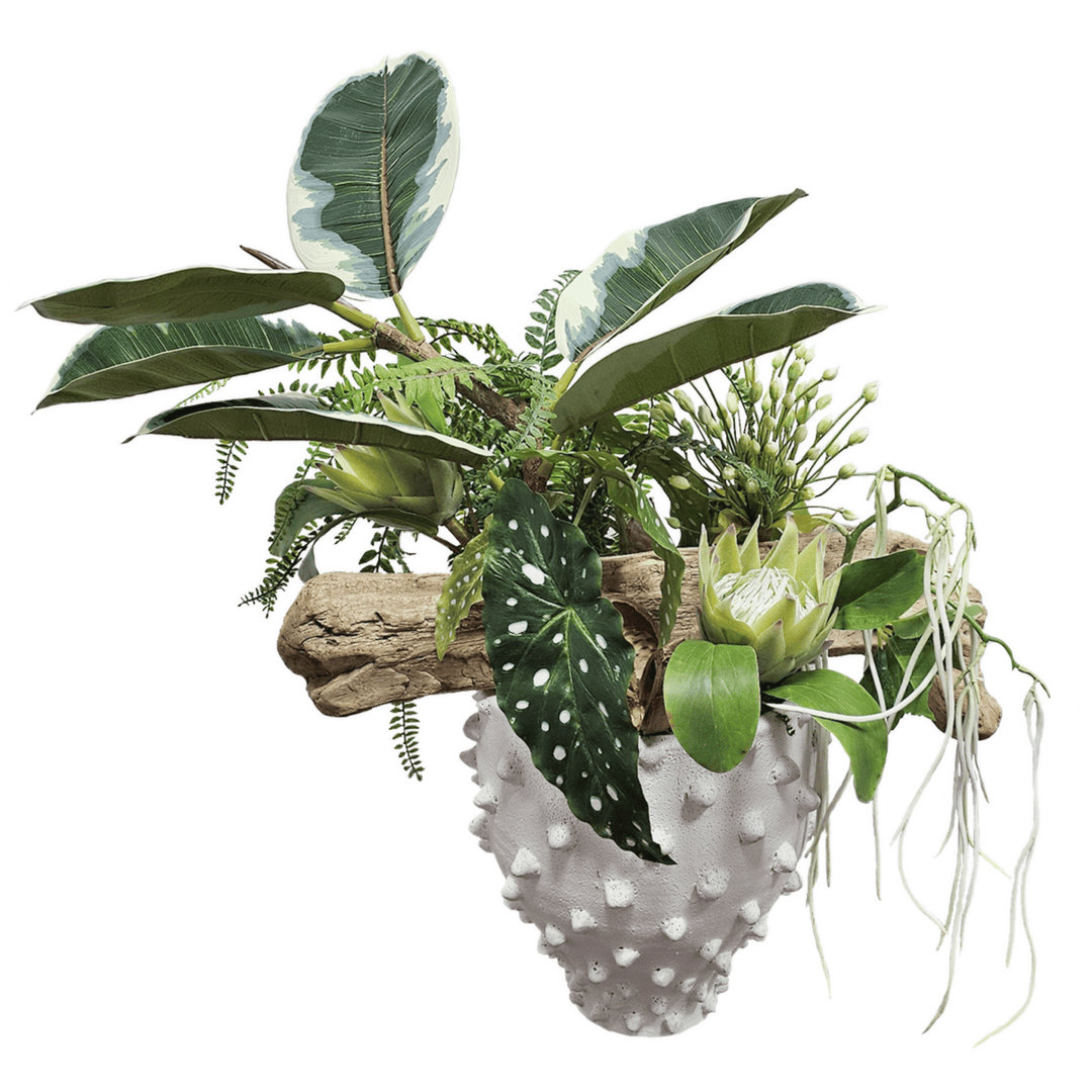 King Protea and Various Greenery with Driftwood In Textured Container. FH: 26"H - LDF SilkArtificial Flora