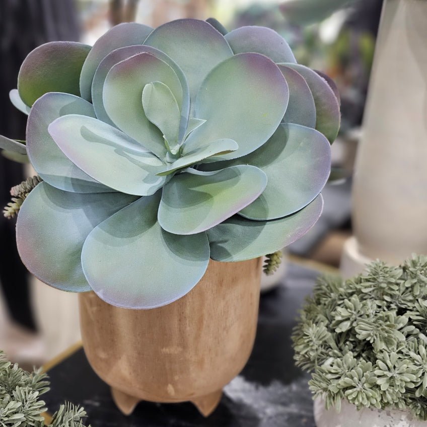 Large Succulents and Donkey Tails in Wood Container 21"H - LDF Silk