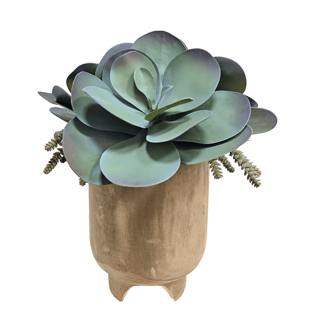 Large Succulents and Donkey Tails in Wood Container 21"H - LDF Silk
