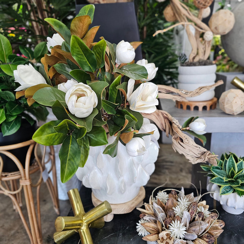 Magnolia Flowers on Ghostwood in Decorative Container 36"H - LDF Silk