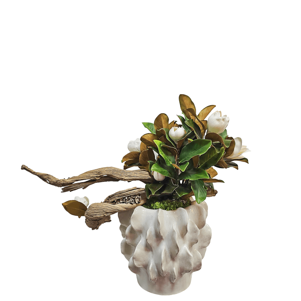 Magnolia Flowers on Ghostwood in Decorative Container 36"H - LDF Silk