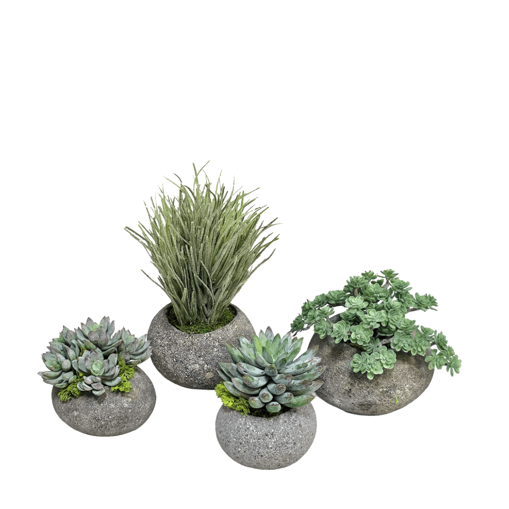 Mini Echeveria in Small Rock Pot 4.5"H - LDF Silk