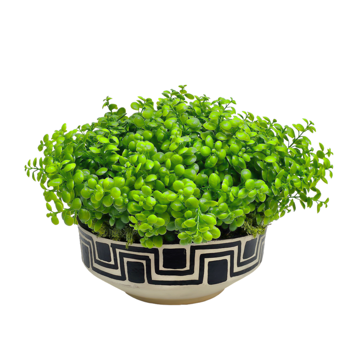 Mini Eucalyptus in Paper Mache Bowl 11"H X 15"DIA - LDF Silk