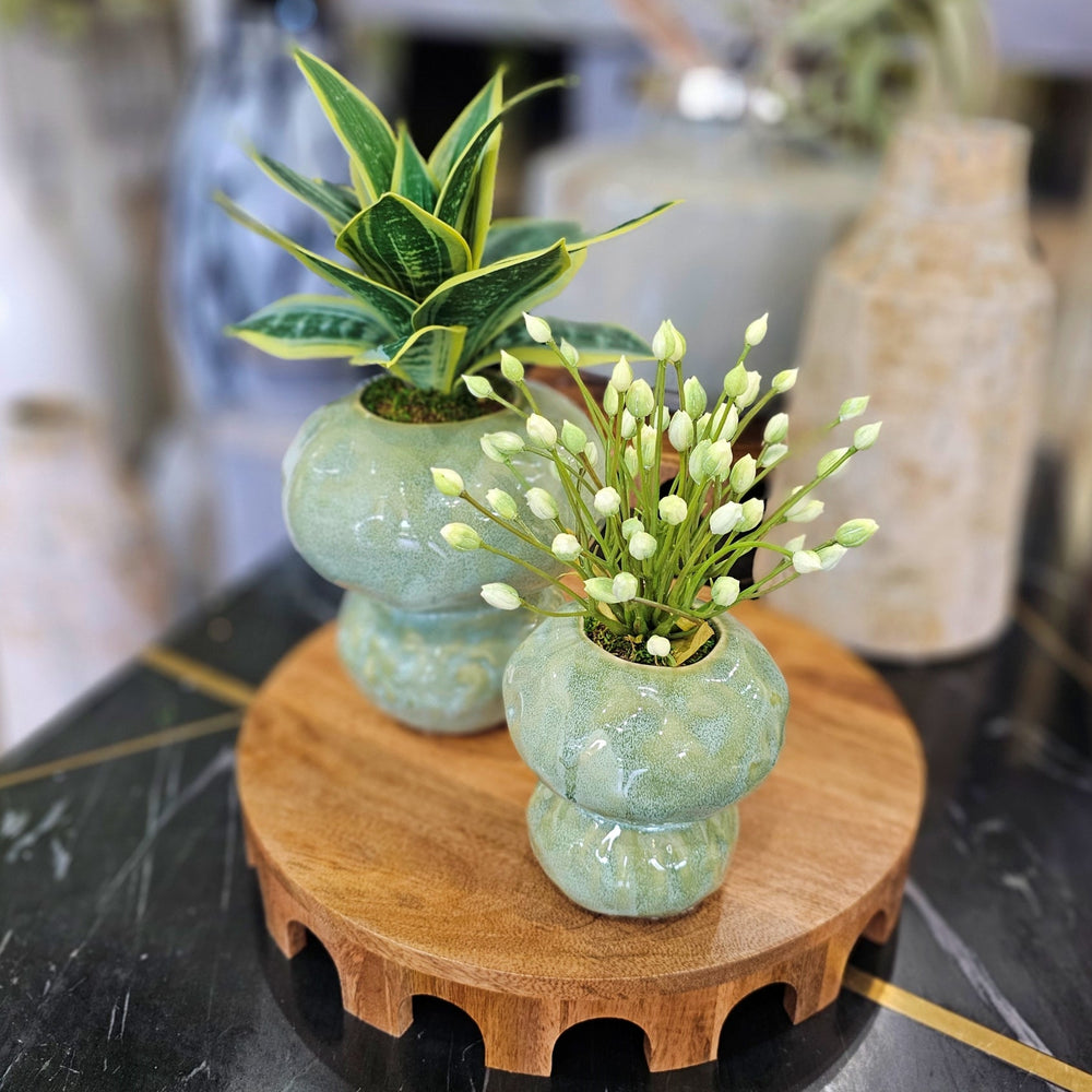 Mini Sansevieria in Ceramic Vase. 12"H - LDF SilkArtificial Flora