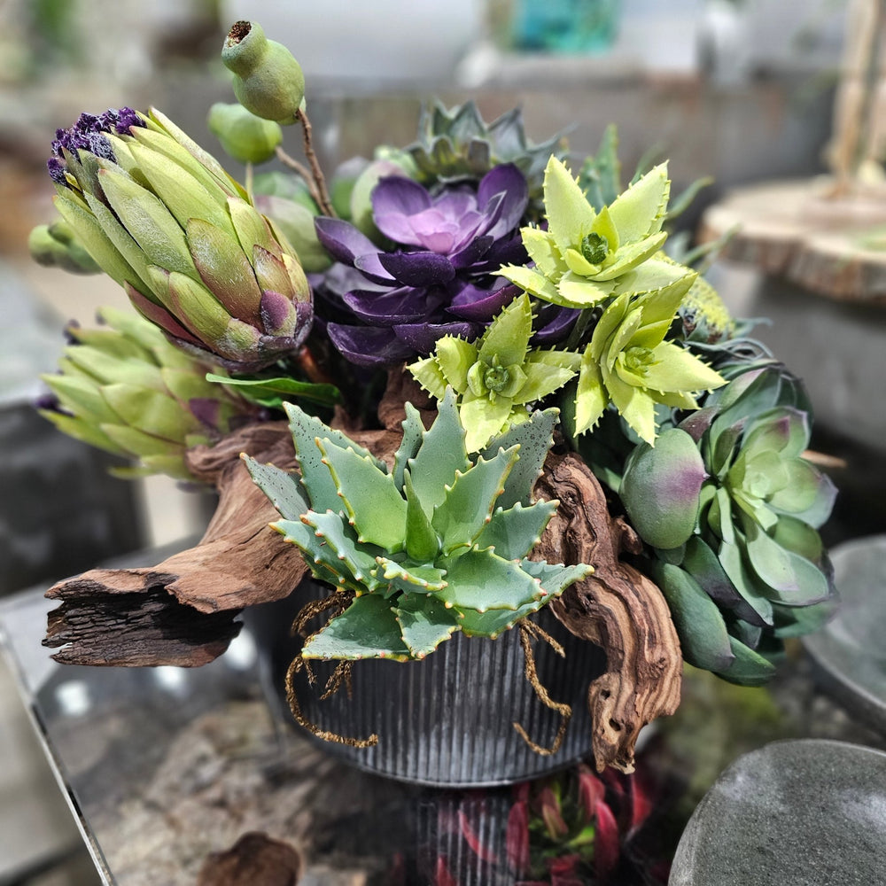 Mink Protea, Succulents with Wood Fragment in Ribbed Metal Bowl. 14"H - LDF SilkFlorals