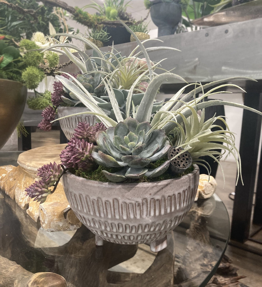 Mix of Succulents in Ceramic FH:13" - LDF Silk