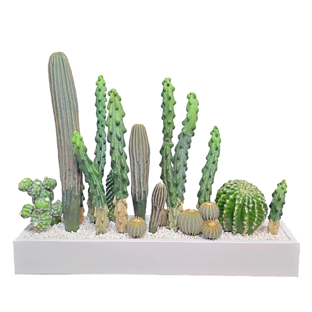 Mixed Cactus with Pebbles in Concrete Rectangle 25"H - LDF Silk