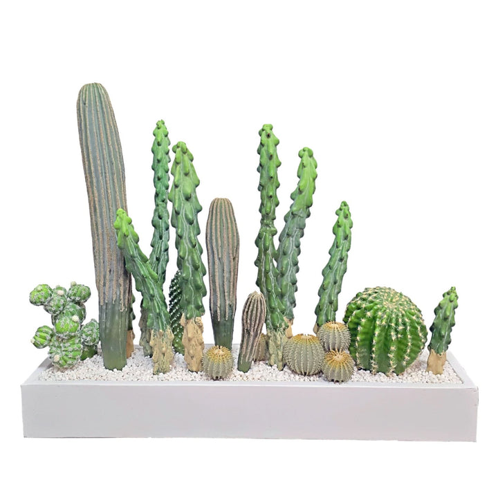 Mixed Cactus with Pebbles in Concrete Rectangle 25"H - LDF Silk