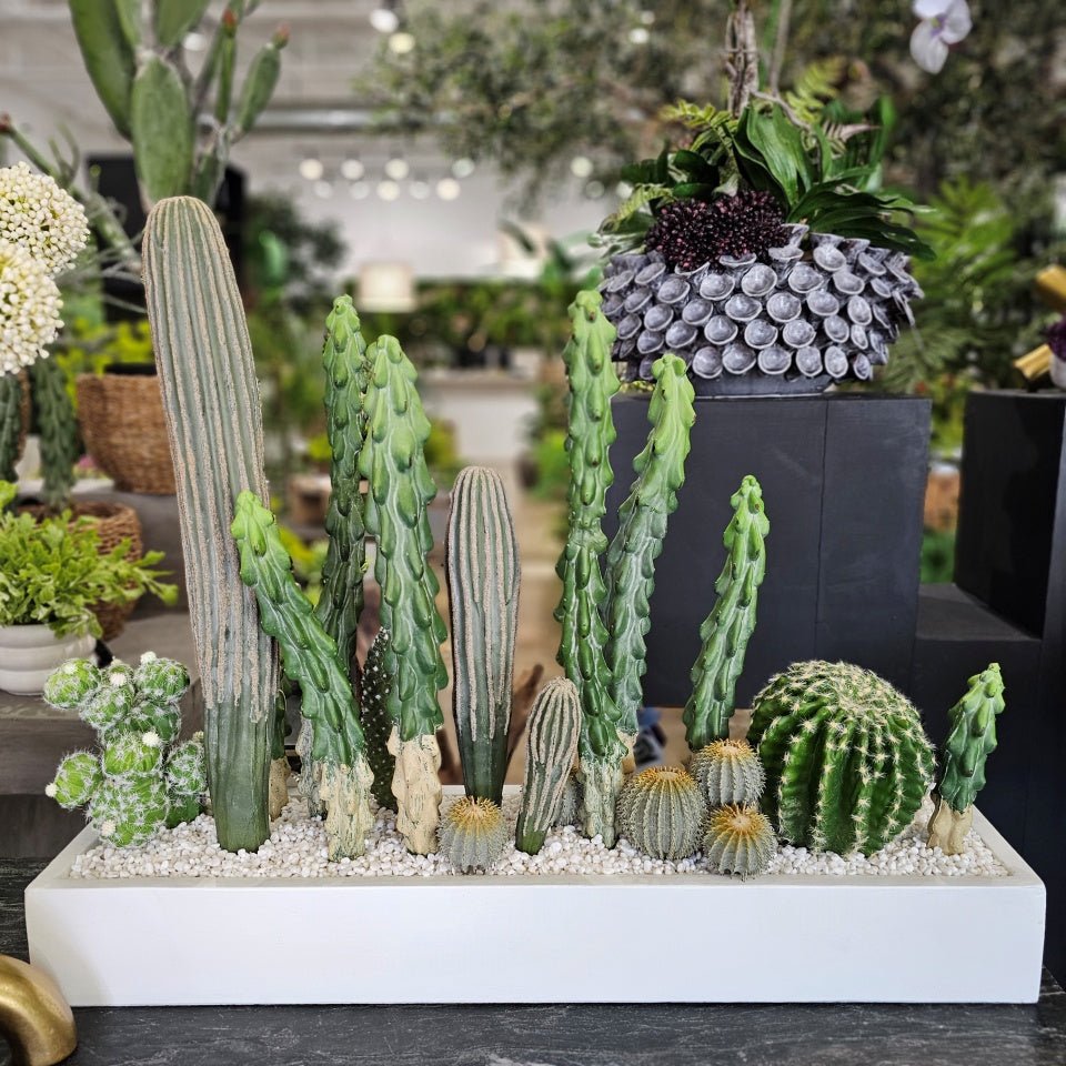 Mixed Cactus with Pebbles in Concrete Rectangle 25"H - LDF Silk