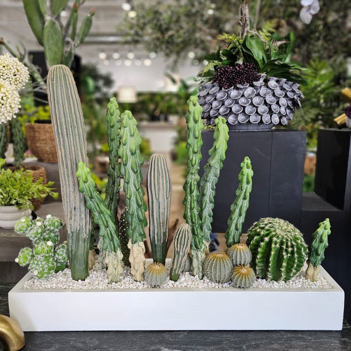 Mixed Cactus with Pebbles in Concrete Rectangle 25"H - LDF Silk