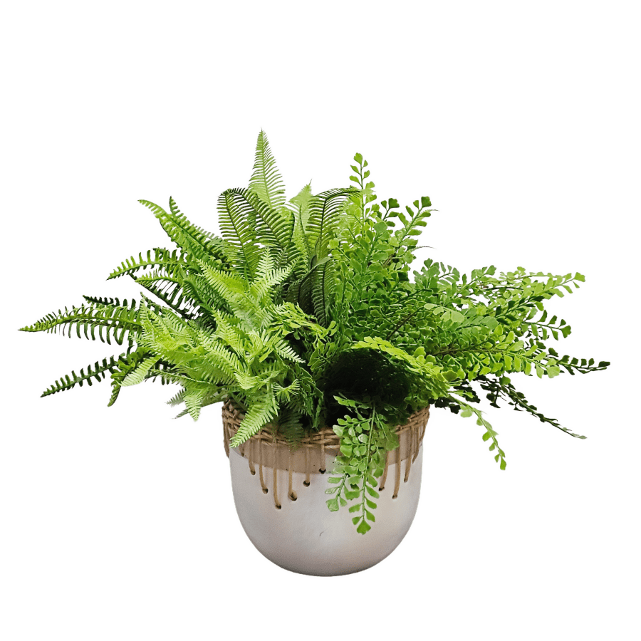 Mixed Ferns in Ceramic with Natural Rope Trim 17"H x 23"W x 19"D - LDF Silk
