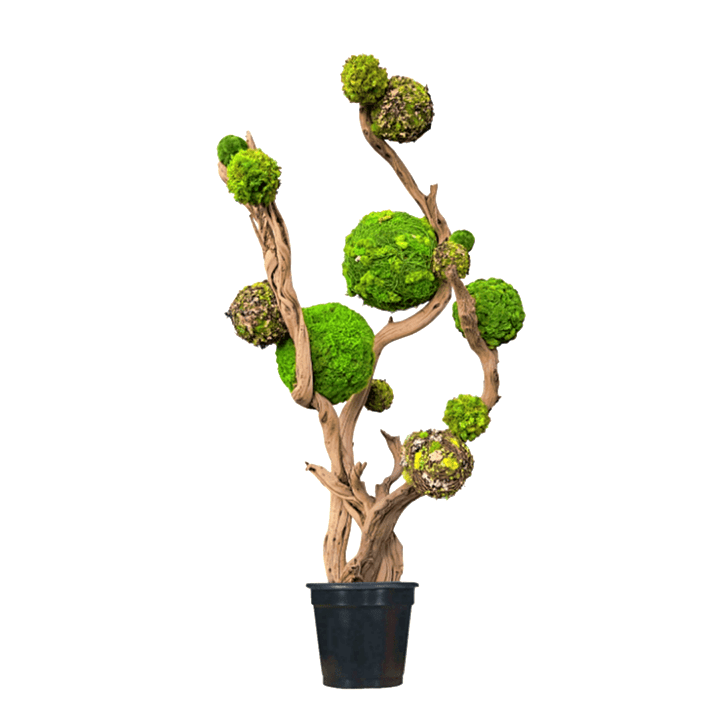 Mixed Greenery Spheres on Sandblasted Ghostwood Sculpture. 70"H (Each Sculpture will be Unique.) - LDF Silk