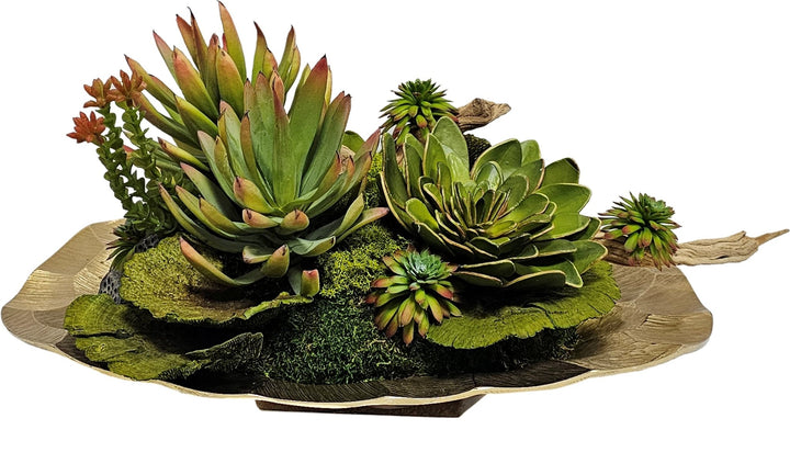Mixed of Succulents, Ghostwood and Dried Mushrooms in Bowl FH: 12"H - LDF Silk