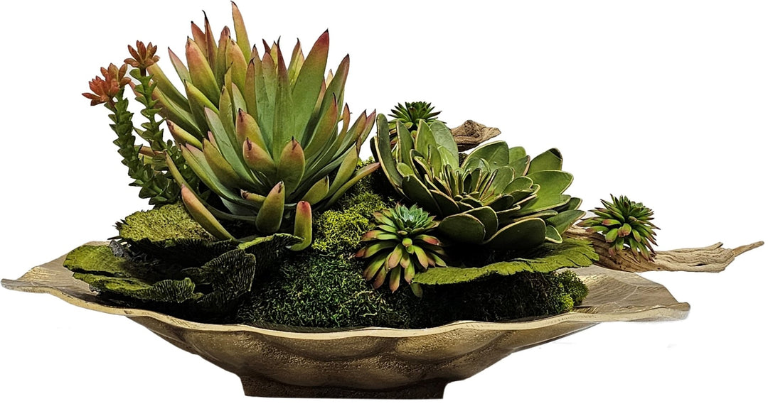 Mixed of Succulents, Ghostwood and Dried Mushrooms in Bowl FH: 12"H - LDF Silk
