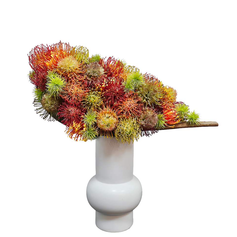 Mixed Protea on Coco Palm Leaf with Tropical Leaves in Ceramic 22"H - LDF Silk