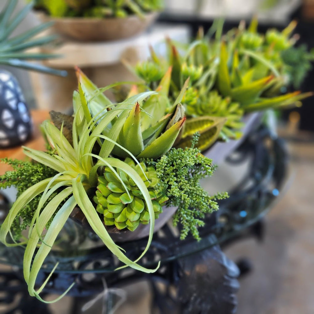 Mixed Succulents and Sora Pods in Wooden Trough 11"H - LDF Silk