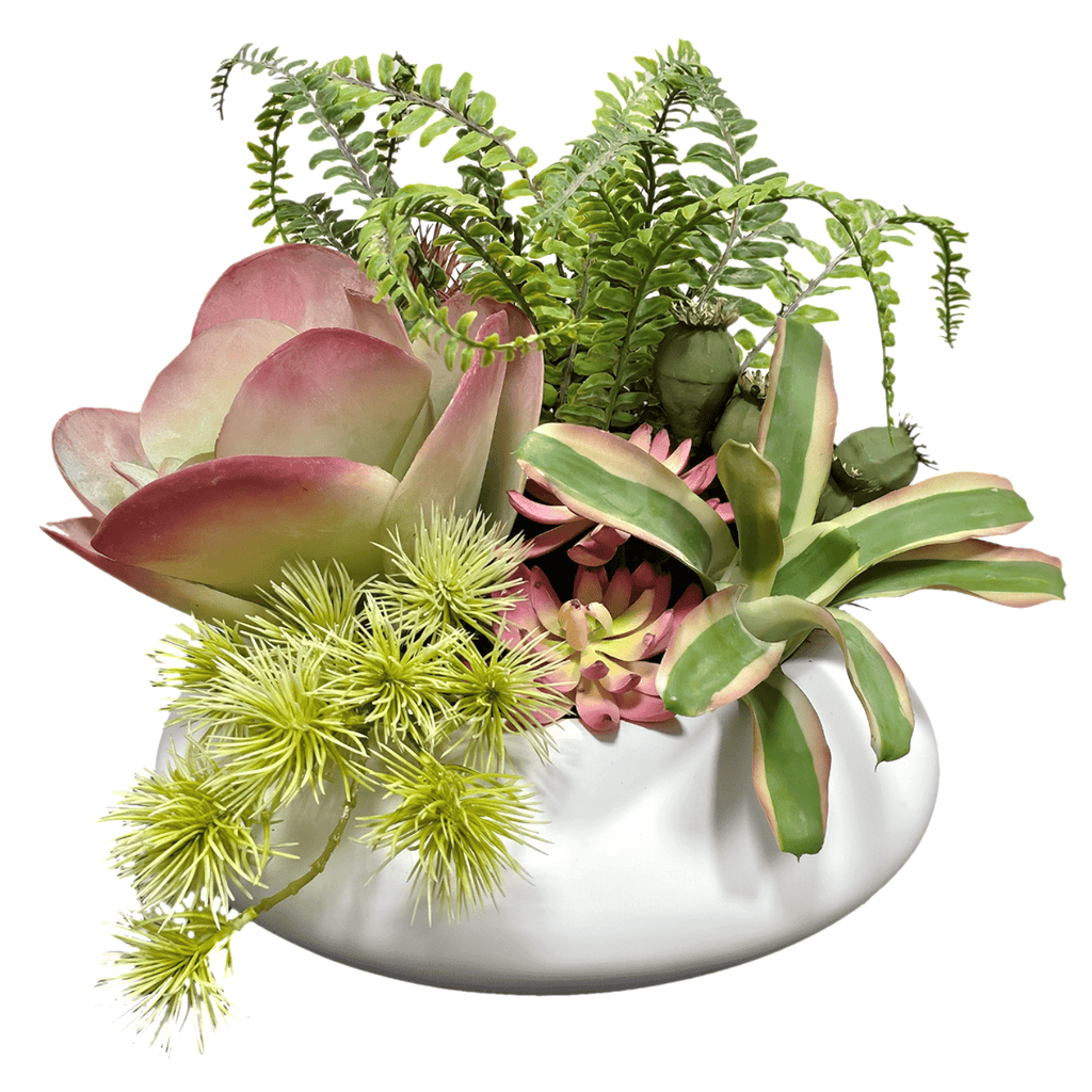 succulent lotus Mixed Succulents, Ferns and Lotus Pods in Bowl. FH: 12" – LDF Silk