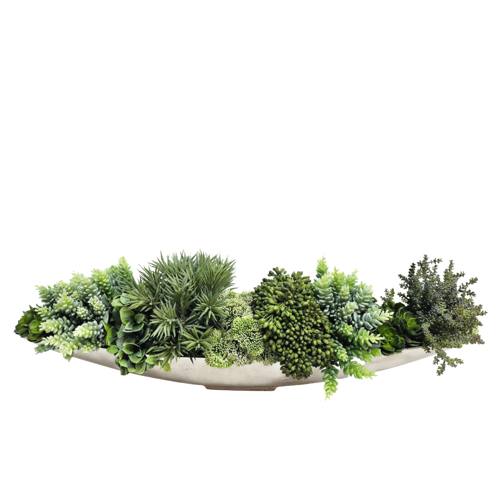 Mixed Succulents in Aluminum Boat 9.5"H x 32"W X 12"D - LDF Silk