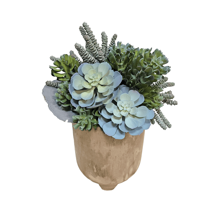Mixed Succulents in Carved Wood Container 19"H - LDF Silk