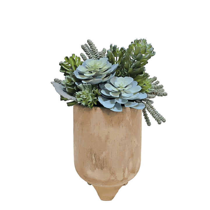 Mixed Succulents in Carved Wood Container 19"H - LDF Silk