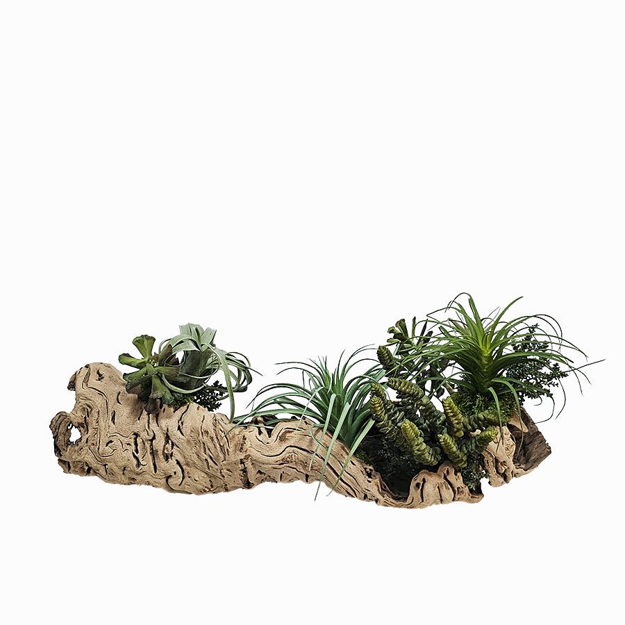 Mixed Succulents in Natural Grapewood 12"H X 28"W X 14.5"D - LDF Silk