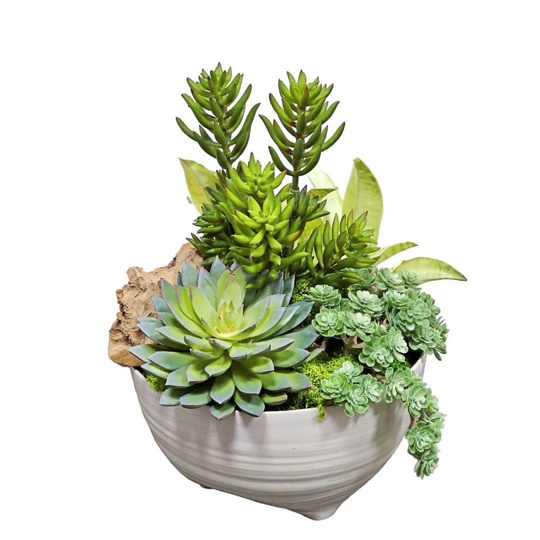 Mixed Succulents in Round Ceramic. FH: 13" - LDF SilkArtificial Flora