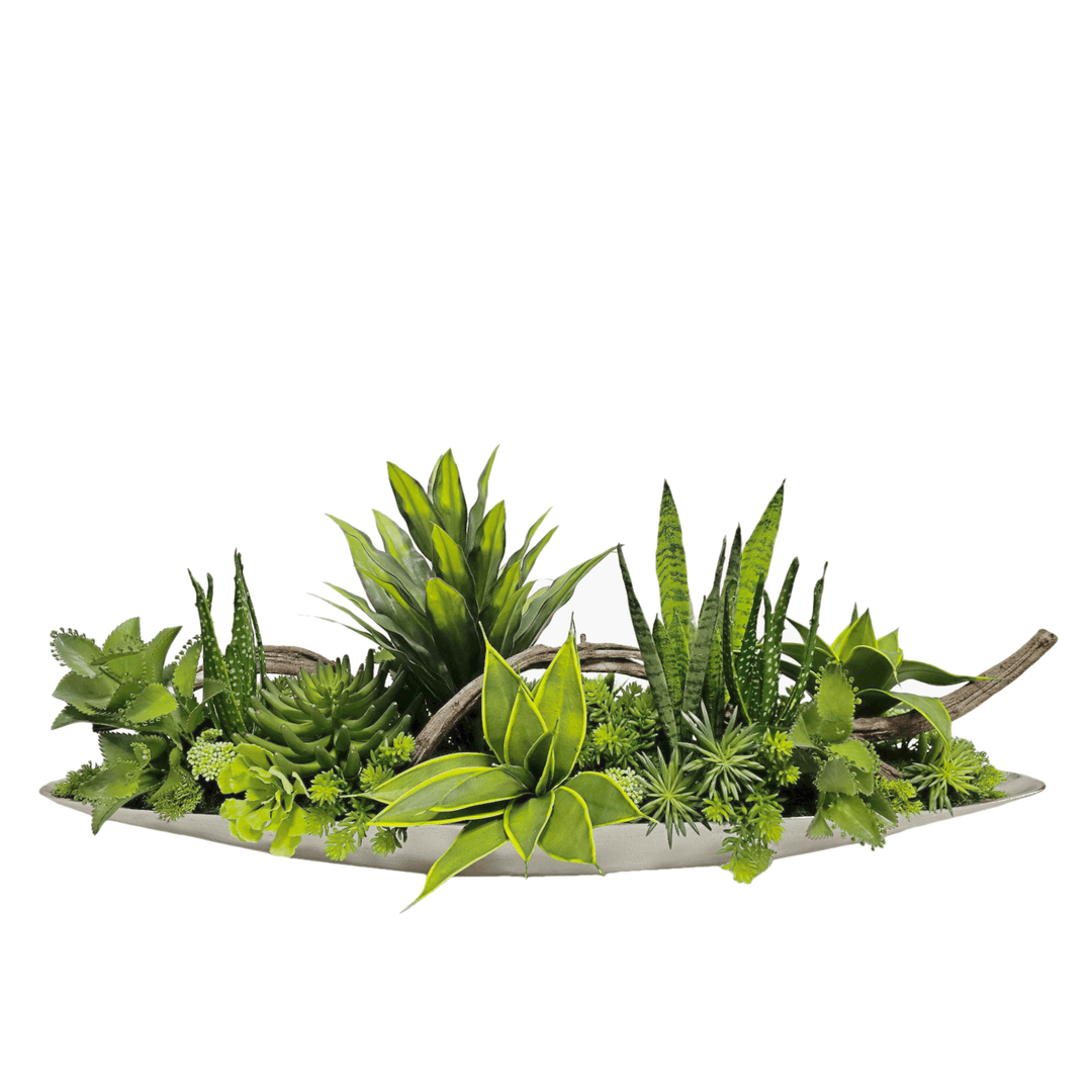 Mixed Succulents, Sansevieria and Curly Branch in Oval Boat 18"H - LDF Silk