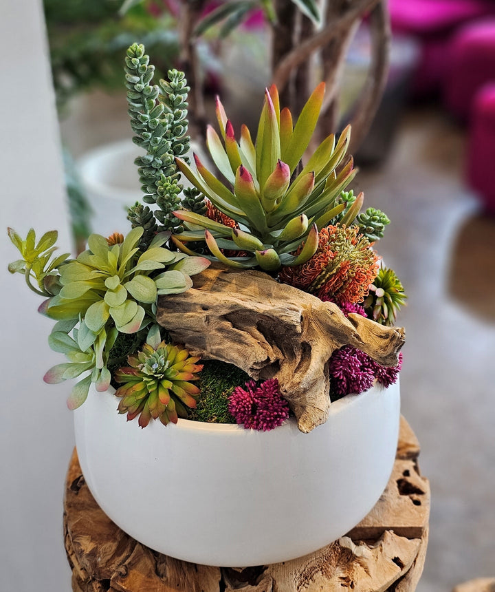 Mixed Succulents, Wood Fragment & Banksia in Ceramic 14"H - LDF Silk