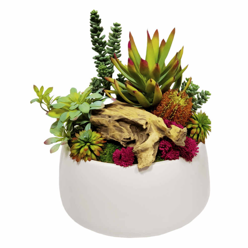Mixed Succulents, Wood Fragment & Banksia in Ceramic 14"H - LDF Silk