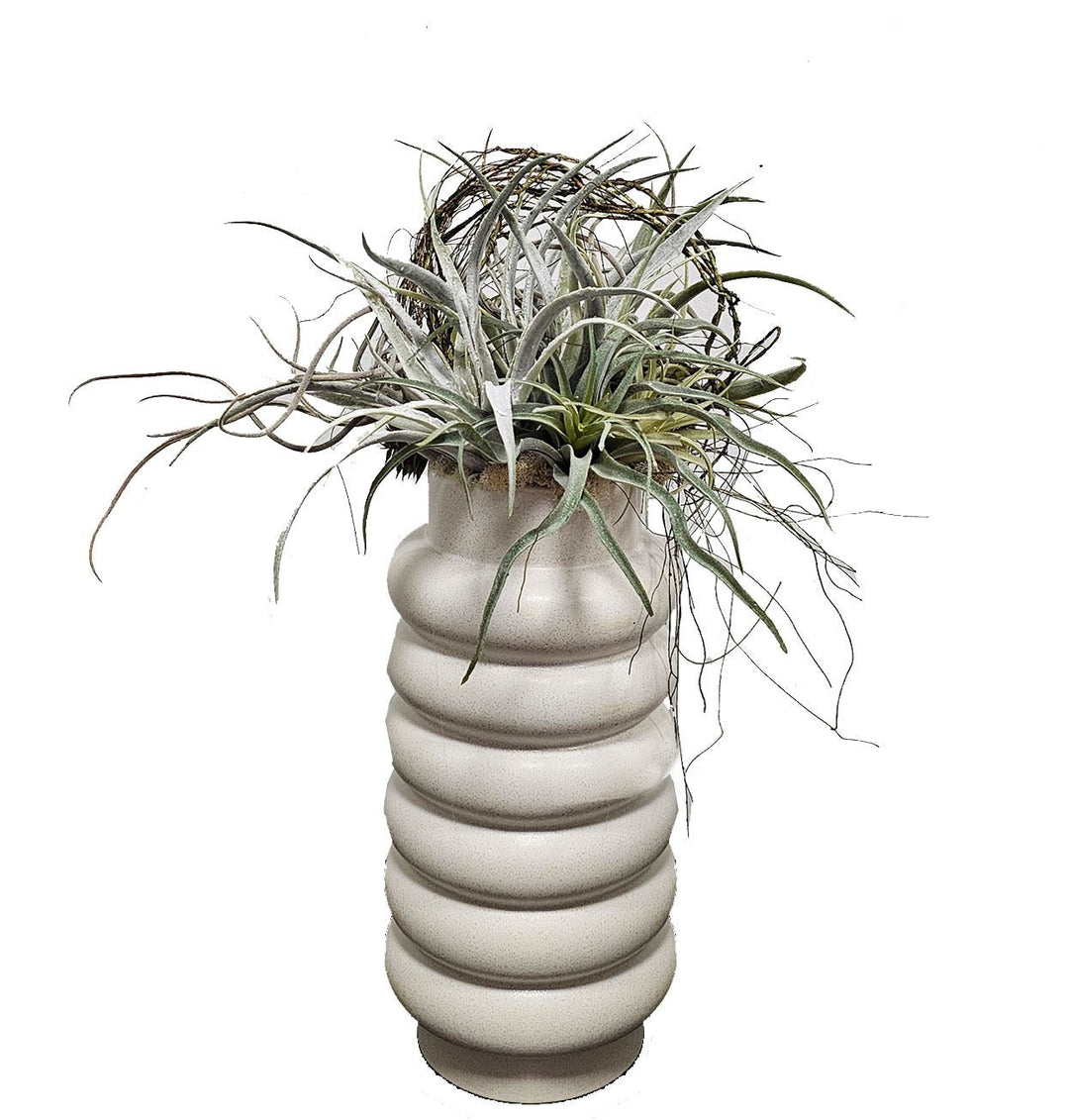 Mixed Tillandsia with Vine in Ceramic 25"H - LDF Silk