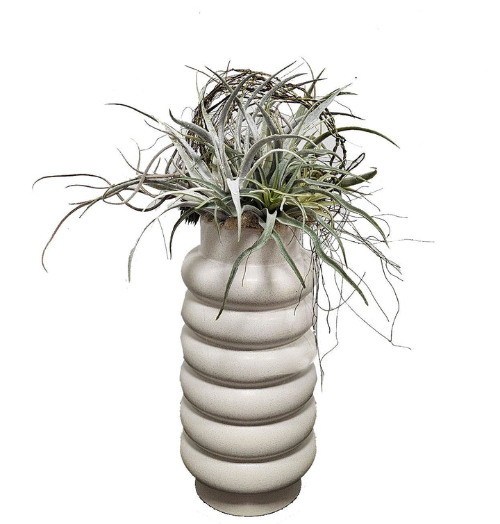 Mixed Tillandsia with Vine in Ceramic 25"H - LDF Silk