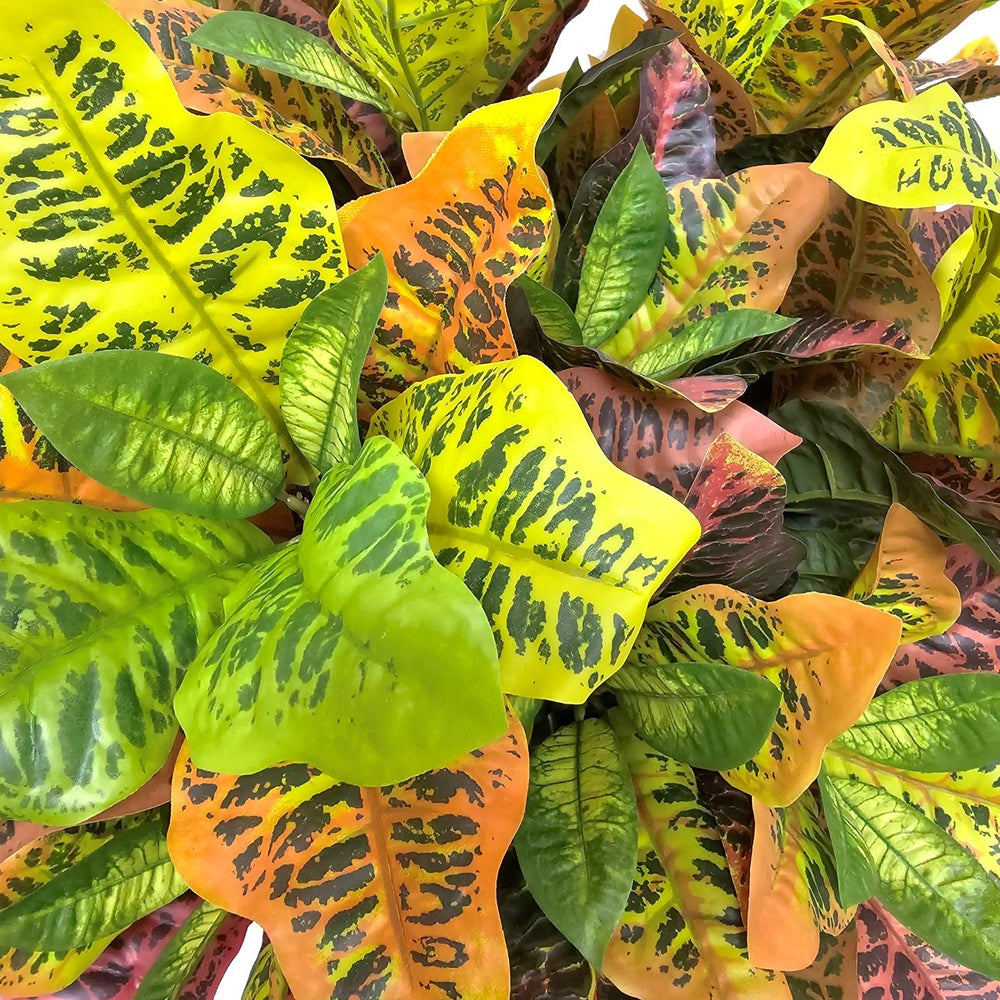 Multicolor Croton Plant in Growers Pot 25"H - LDF Silk