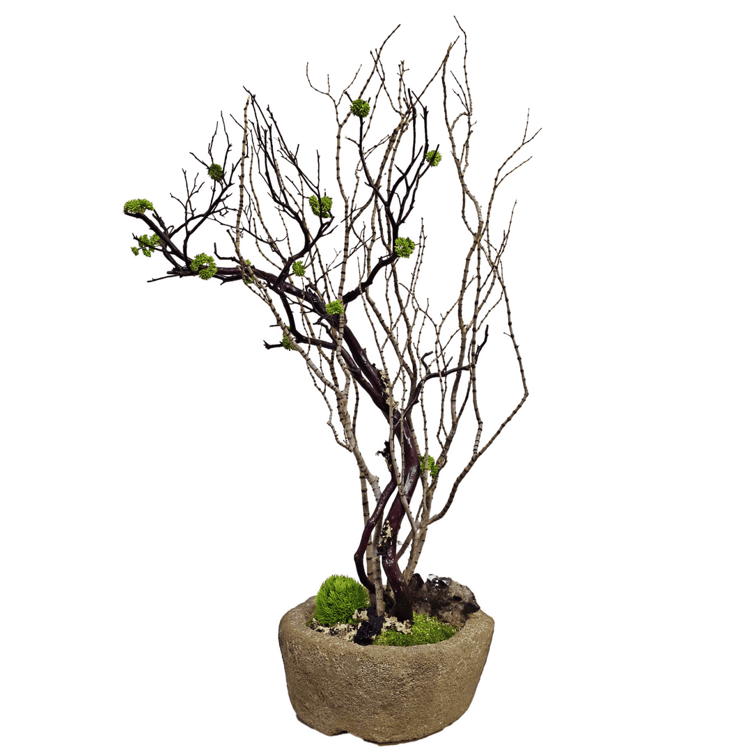 Natural Manzanita and Tiger Wood Branches with Specimen Crystal in Carved Stone Container 48"H - LDF Silk