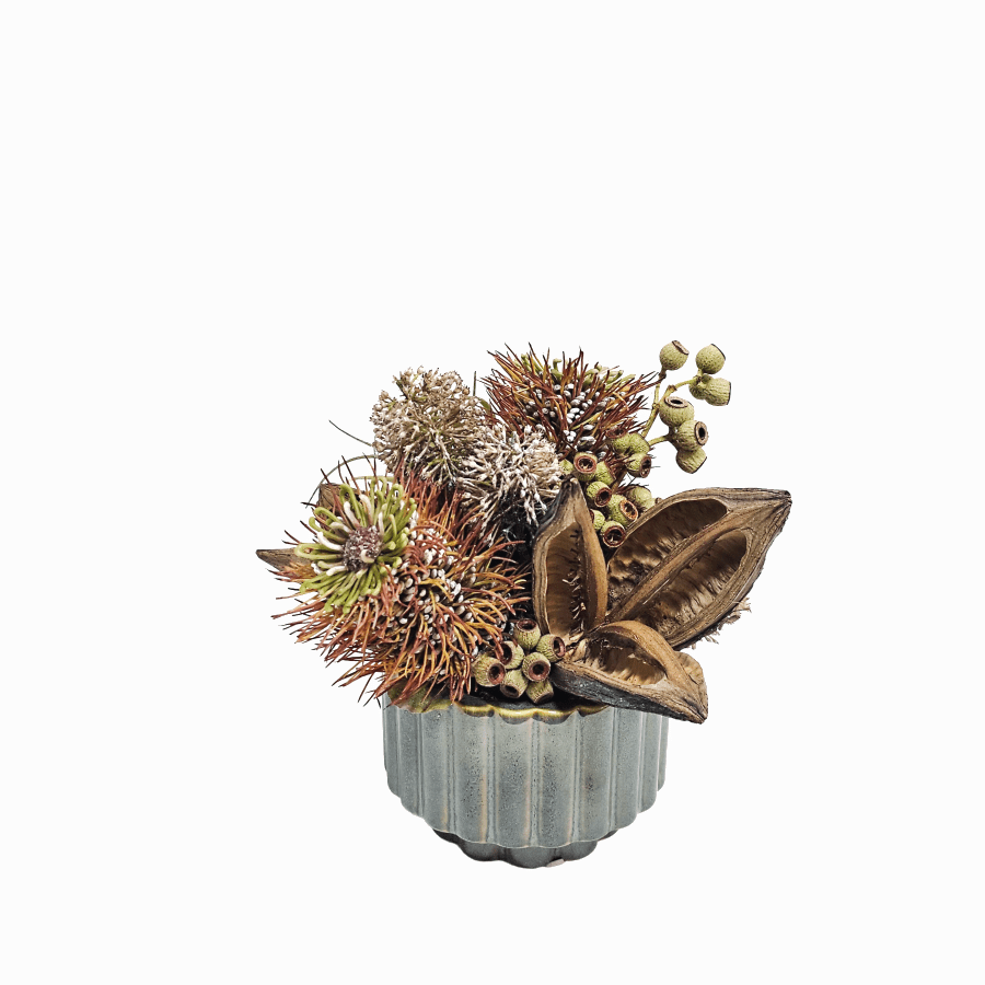 Natural Sor Pods in Ceramic Planter 8.5"H x 10"W x 11"D - LDF Silk