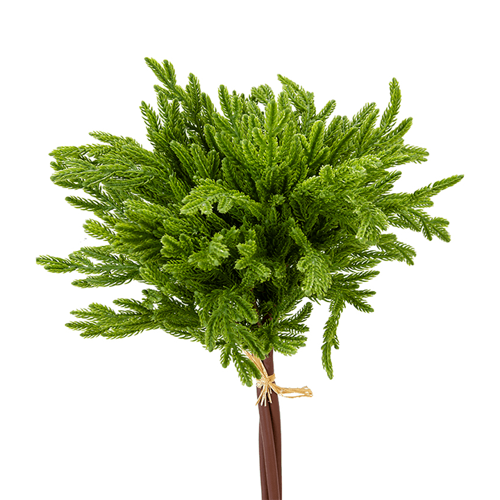Norfolk Pine Bonsai on Manzanita Branch in Pot on Stand 48"H - LDF Silk