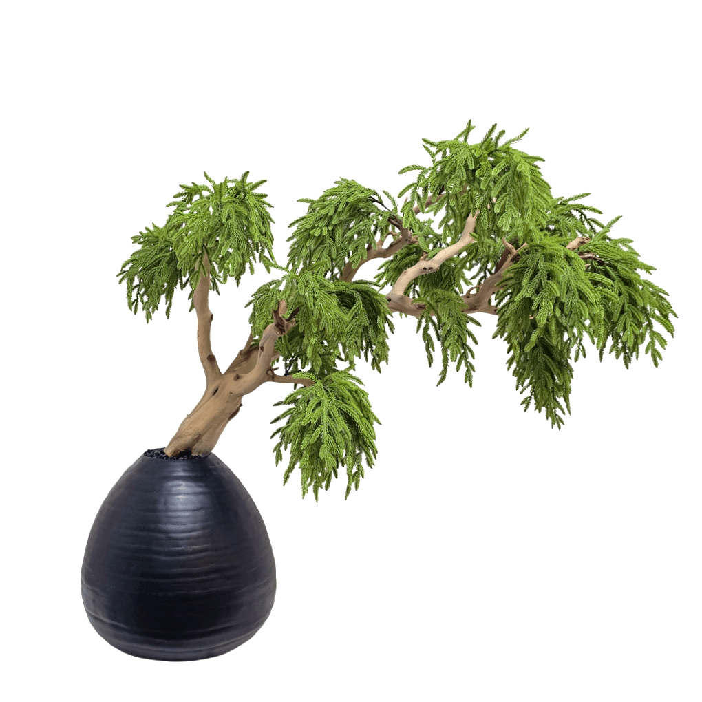 Norfolk Pine Bonsai on Manzanita in Metal Vase 34"H X 28"W X 23"D - LDF Silk