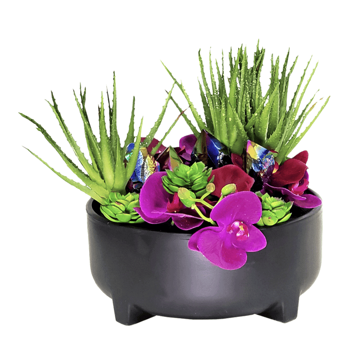 Obsidian Crystals with Aloe, Orchids and Sand in Ceramic 13"H - LDF SilkArtificial Flora