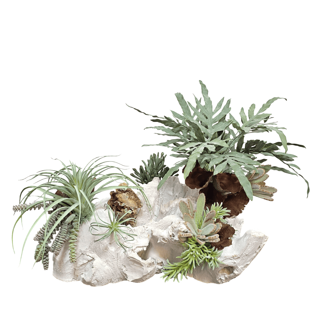 One of a Kind: Specimen Rock, Mixed Succulents, Java Fern and Calice Mushrooms on Unique Wood Fragment 19"H - LDF Silk