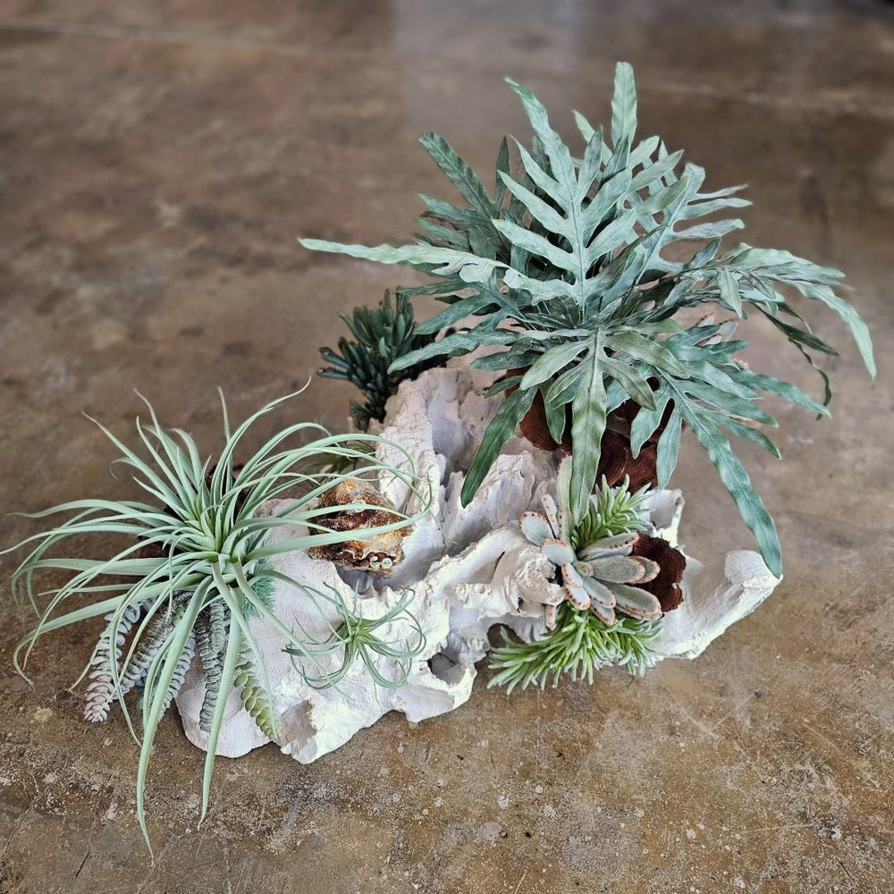One of a Kind: Specimen Rock, Mixed Succulents, Java Fern and Calice Mushrooms on Unique Wood Fragment 19"H - LDF Silk