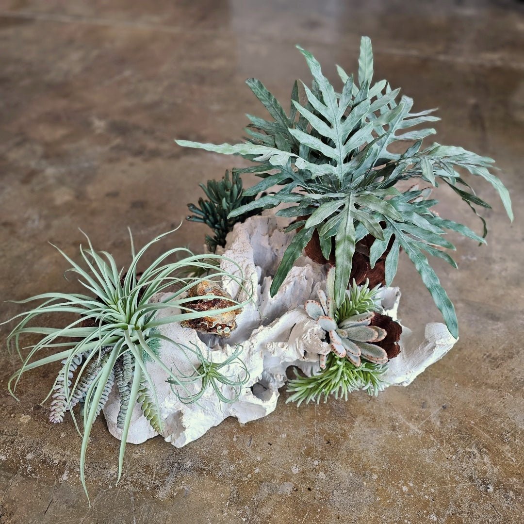 One of a Kind: Specimen Rock, Mixed Succulents, Java Fern and Calice Mushrooms on Unique Wood Fragment 19"H - LDF Silk