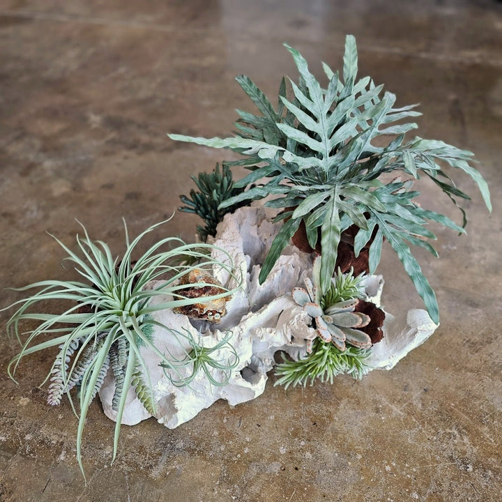 One of a Kind: Specimen Rock, Mixed Succulents, Java Fern and Calice Mushrooms on Unique Wood Fragment 19"H - LDF Silk
