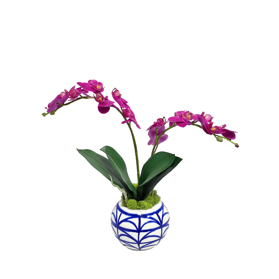 Orchid and Orchid Leaves made in Pot 15"H x 17"W x 7"D - LDF Silk