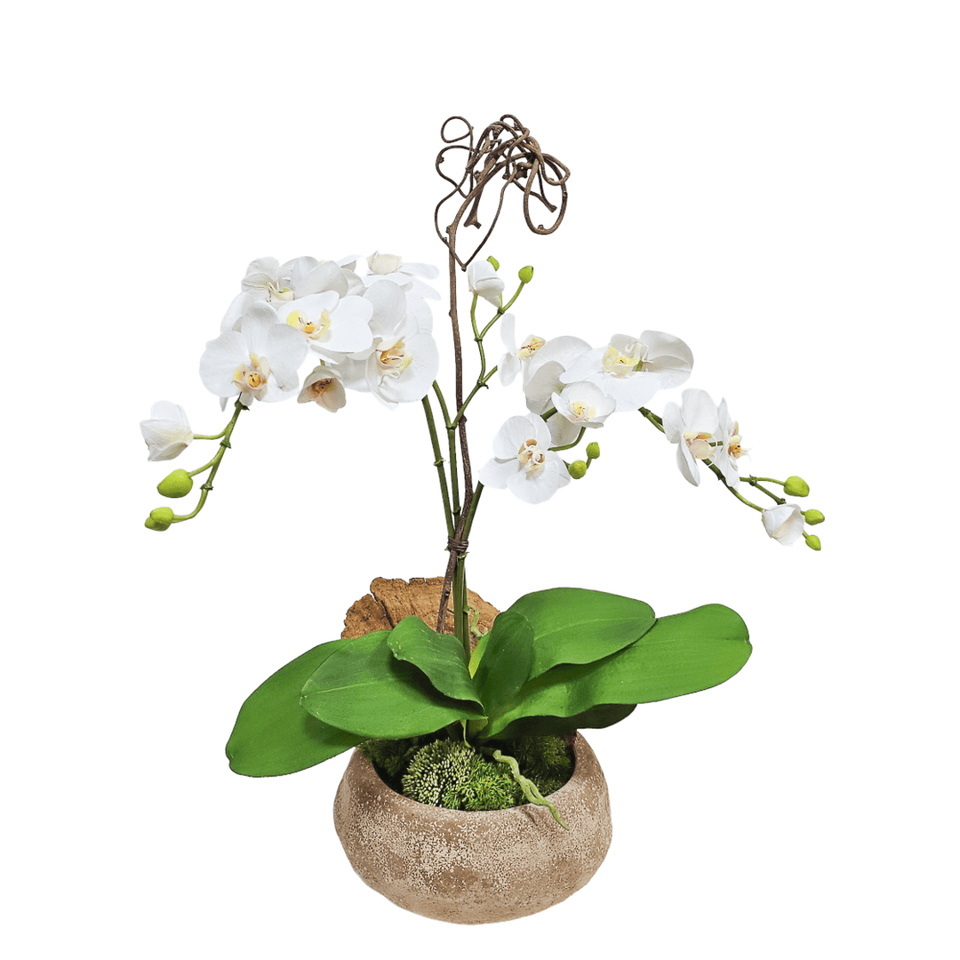 Orchid, Orchid Leaf, Sponge Mushroom, and Kiwi in Tapered Bowl. 24"H - LDF Silk