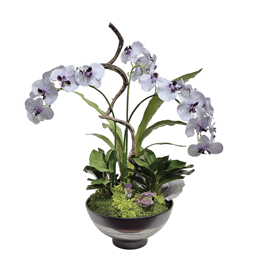Orchids, Crystals, and Curly Vine in Ceramic Bowl 32"H - LDF Silk