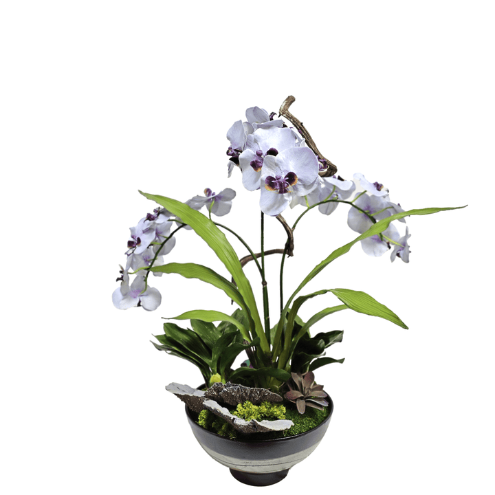Orchids, Crystals, and Curly Vine in Ceramic Bowl 32"H - LDF Silk
